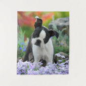 ボストンテリア犬かわいい子犬の動物頭写真 – - タペストリー (正面)