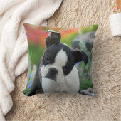 ボストンテリア犬のかわいい子犬のポートレート、正方形 クッション (ブランケット)