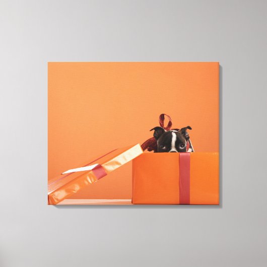 ボストンテリア犬のギフトボックス キャンバスプリント (正面)