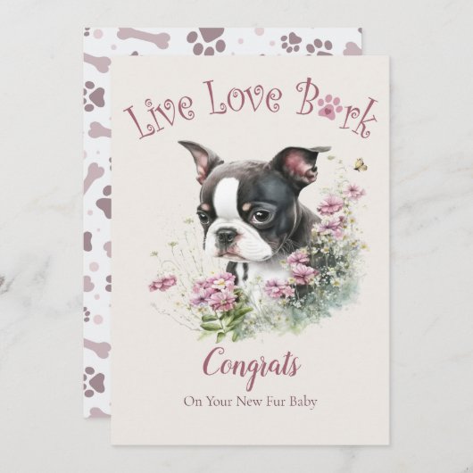 ボストンテリア犬の里親募集、ガットチャデイ カード (正面/裏面)