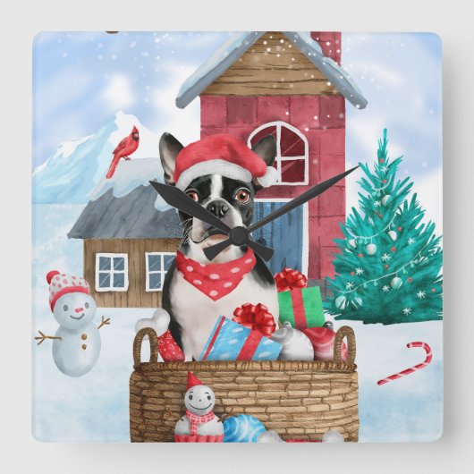 ボストンテリア犬の雪の中のクリスマス犬小屋 スクエア壁時計 (正面)