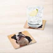 ボストンテリア犬 スクエアペーパーコースター (インサイチュ)