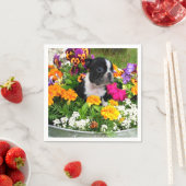 ボストンテリア犬 スタンダードカクテルナプキン (インサイチュ)