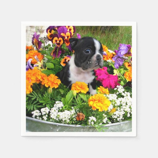 ボストンテリア犬 スタンダードカクテルナプキン (正面)