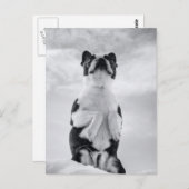 ボストンテリア祈ズ ポストカード (正面/裏面)