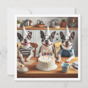 ボストンテリア誕生日カード、ボストンテリア 招待状