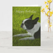 ボストンテリア誕生日 カード (黄色い花)