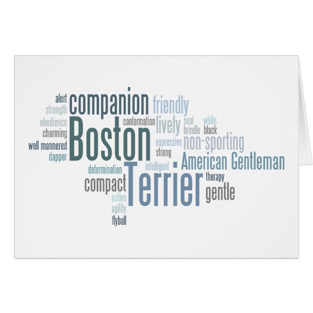 ボストンテリア (正面横)