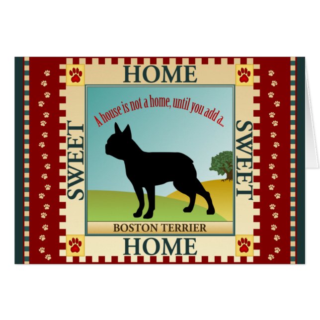 ボストンテリア (正面横)