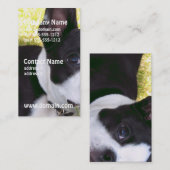 ボストンテリア1 名刺 (正面/裏面)