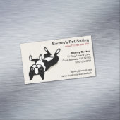 ボストンテリア |かわいい漫画の犬 マグネット名刺 (インサイチュ)