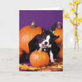 ボストンテリア・カボチャHalloweenカスタマイズ可能カード カード (黄色い花)