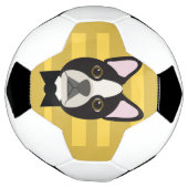 ボストンテリア サッカーボール (回転)