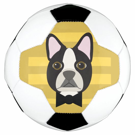 ボストンテリア サッカーボール (正面)