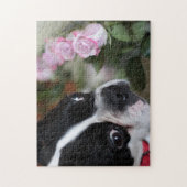 ボストンテリア ジグソーパズル (縦)