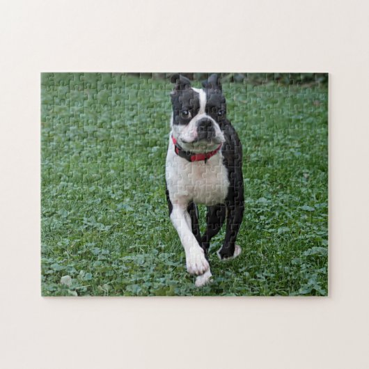 ボストンテリア ジグソーパズル (横)