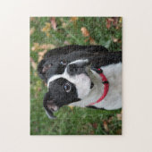 ボストンテリア ジグソーパズル (縦)