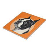 ボストンテリア タイル (側面)