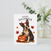 ボストンテリア ハロウィン ポストカード (スタンド正面)