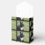 ボストンテリア フェイバーボックス (オープン)