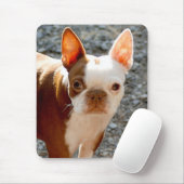 ボストンテリア マウスパッド (マウス)