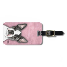 ボストンテリア