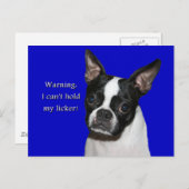 ボストンテリア:彼女の舐めるのを我慢できない ポストカード (正面/裏面)