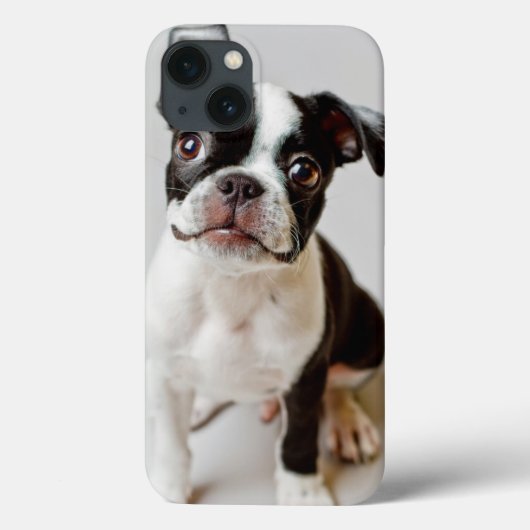 ボストンテリア Case-Mate iPhoneケース (裏面)
