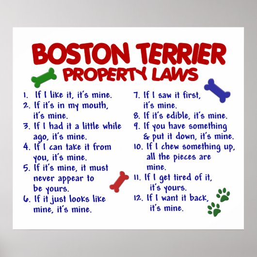 ボストンテリアPL2 ポスター (正面)