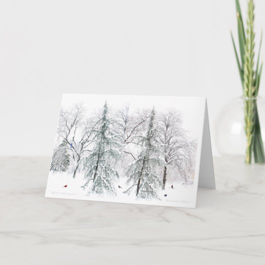 ボストンパブリックガーデンシンプル：季節の楽しみ シーズンカード (正面)