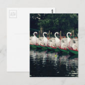 ボストンパブリックガーデンズスワンボート ポストカード (正面/裏面)