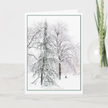 ボストンパブリックガーデン：ホリディユレタイド