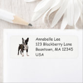 ボストンブルテリア ラベル (インサイチュ)