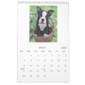 ボストンベビー カレンダー (3月 2027)