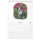 ボストンベビー カレンダー (2月 2027)