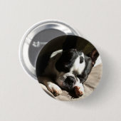 ボストンボタン 缶バッジ (正面&裏面)