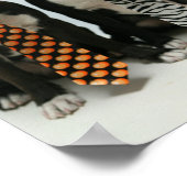 ボストン兄弟ポスター ポスター (角)