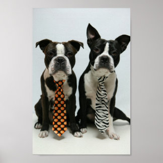 ボストン兄弟ポスター ポスター