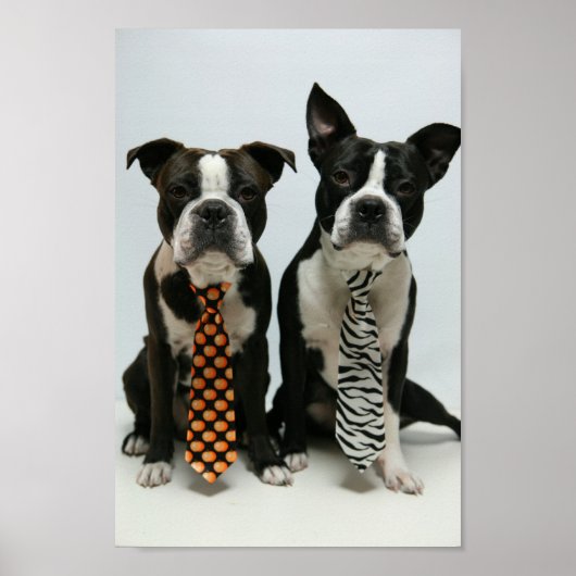 ボストン兄弟ポスター ポスター (正面)