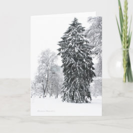 ボストン公共庭園での冬の休暇 シーズンカード