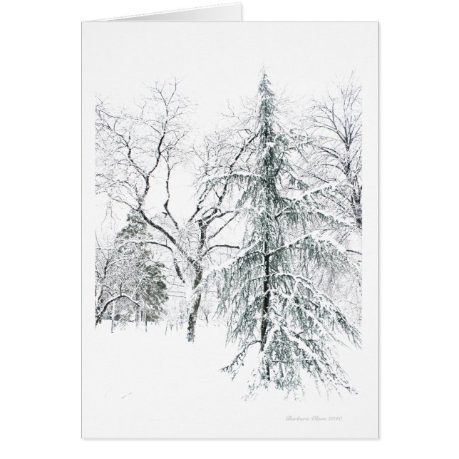 ボストン公共庭 (正面)