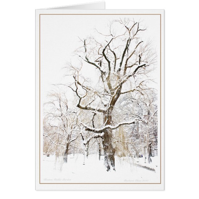 ボストン公共庭 (正面)