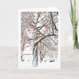 ボストン公苑 シーズンカード