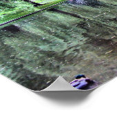 ボストン公苑 ポスター (角)