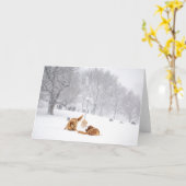 ボストン共通の挨拶状の犬 カード (黄色い花)