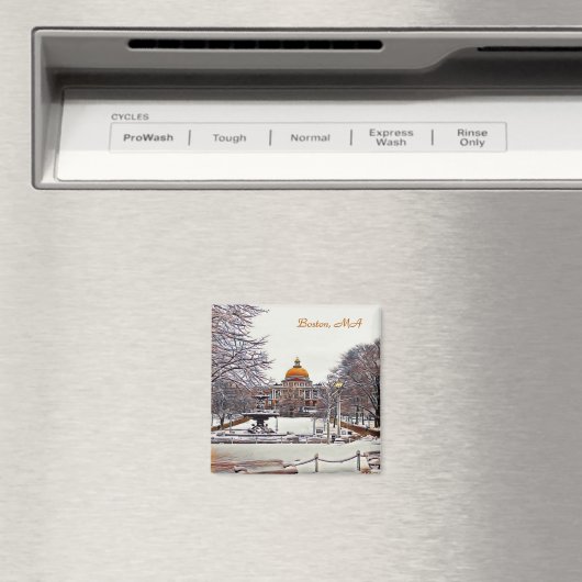 ボストン州ハウスin冬9870 マグネット (インサイチュ (食洗機))