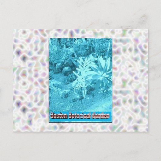 ボストン植物園 ポストカード (正面)