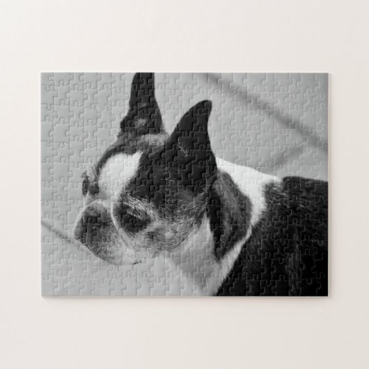 ボストン白黒テリア ジグソーパズル (横)