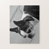 ボストン白黒テリア ジグソーパズル (縦)