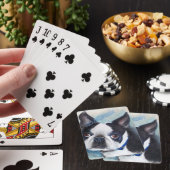 ボストン白黒テリア トランプ (インサイチュ)